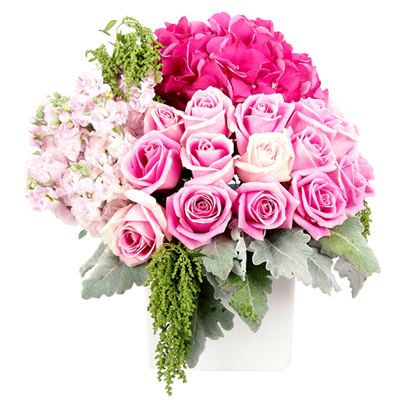 Queen Box - Pink Posy